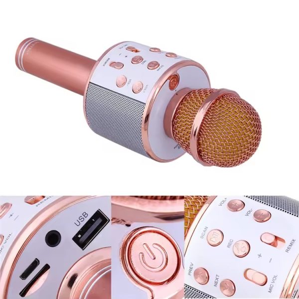 Microphone Loud Speaker For Speech Good For Kids & Students ws-858 Pic 4