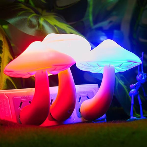 Mushroom Shape Led Night Flower Lamp Pic 4