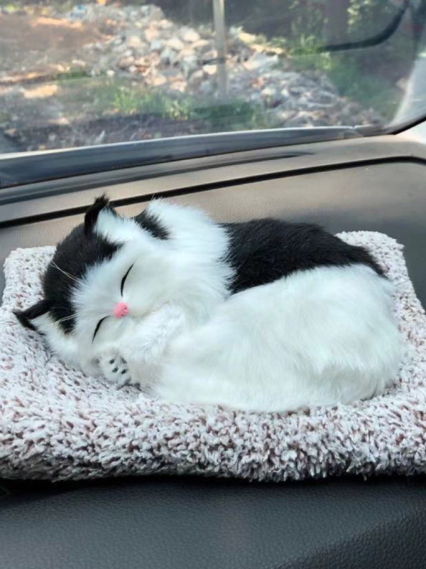 Cat Sleeping Dashboard Mat For Car And Home Office Pic 3