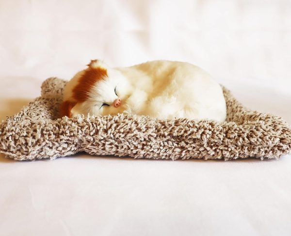 Cat Sleeping Dashboard Mat For Car And Home Office Pic 4