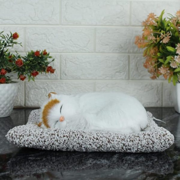 Cat Sleeping Dashboard Mat For Car And Home Office Pic 5
