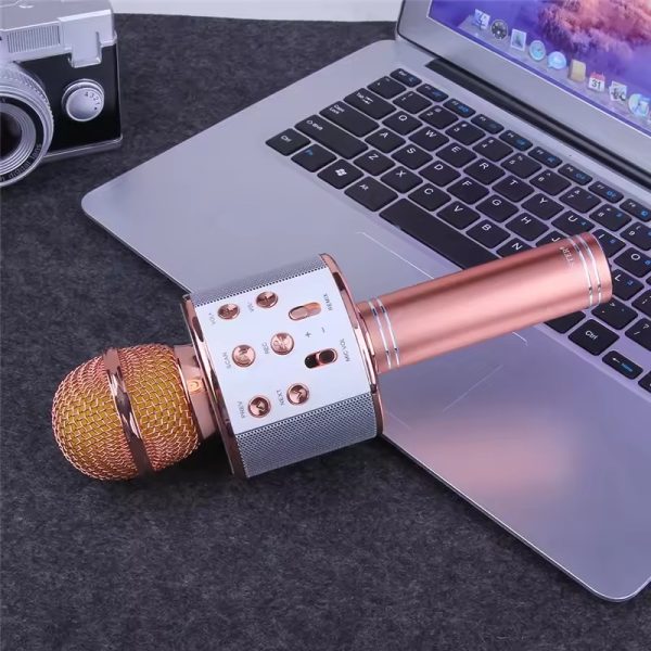 Microphone Loud Speaker For Speech Good For Kids & Students ws-858 Pic 1