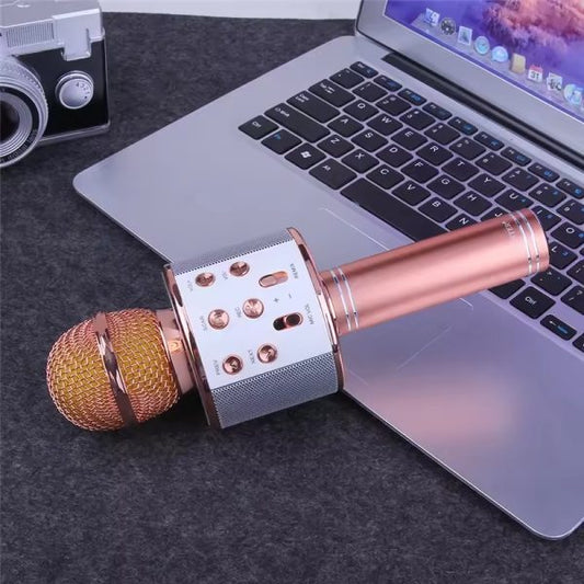 Microphone Loud Speaker For Speech Good For Kids & Students ws-858 Pic 1