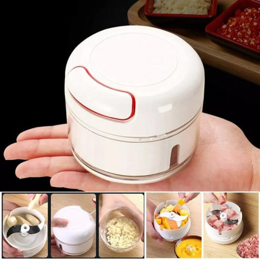 Mini Food Chopper Pic 1