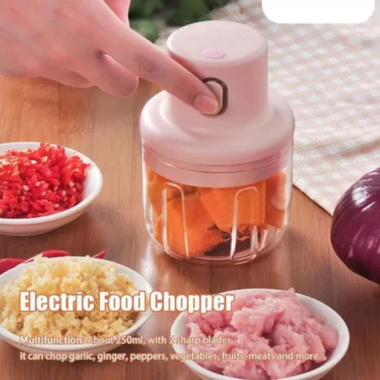 Single Bowl Electric Mini Grinder Food Chopper (250ml) Pic 1
