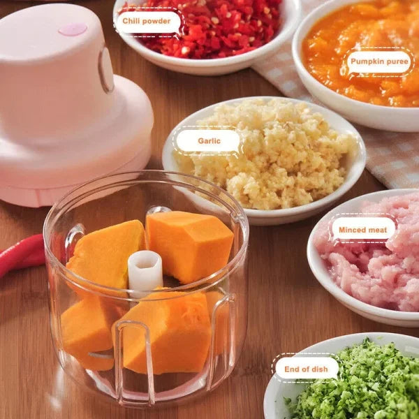Single Bowl Electric Mini Grinder Food Chopper (250ml) Pic 3